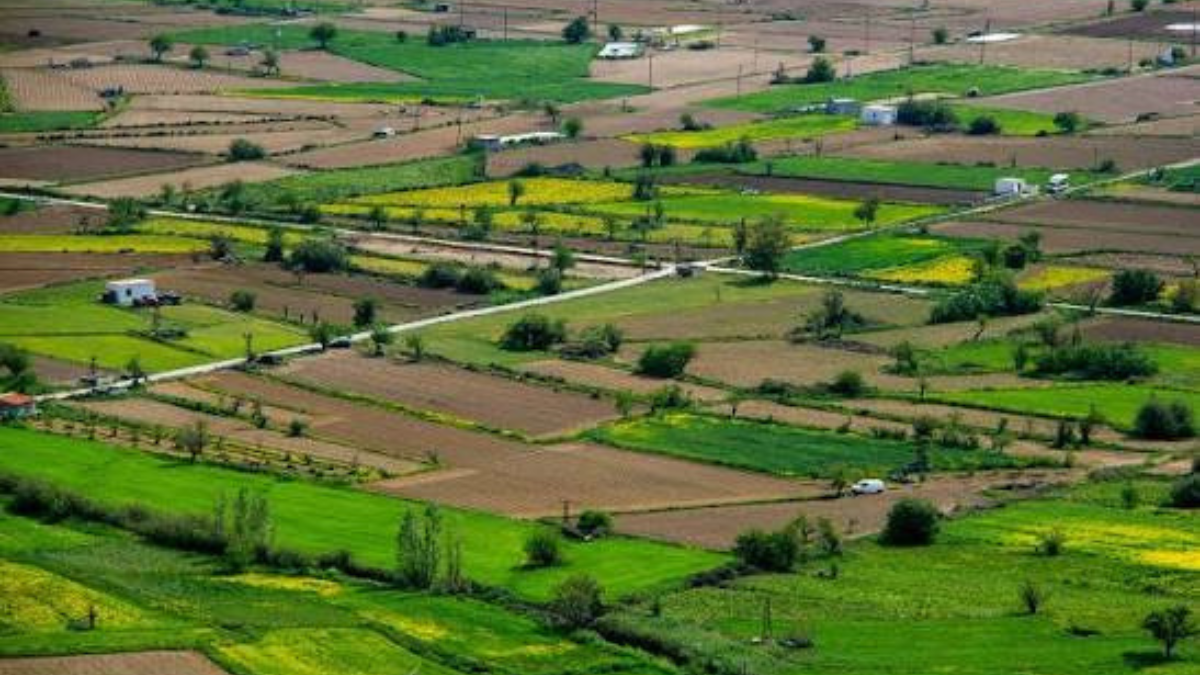 Bihar to Digitally Map 10.23 Lakh Farm Plots What It Means for Land Records and Farmers