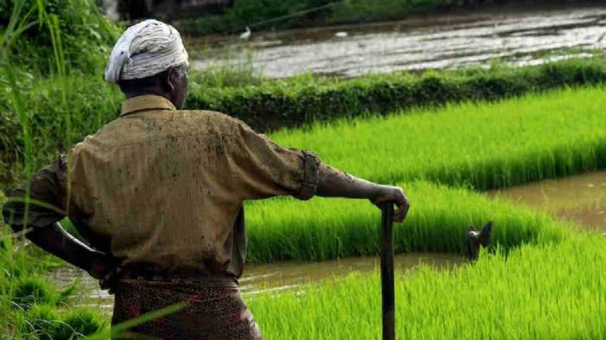 Greater Noida to Digitise Farmers’ Plot Subdivision Process