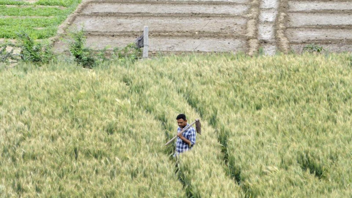 Greater Noida Farmers May Get Record Land Compensation Hike to ₹6,400 Per Sq Metre