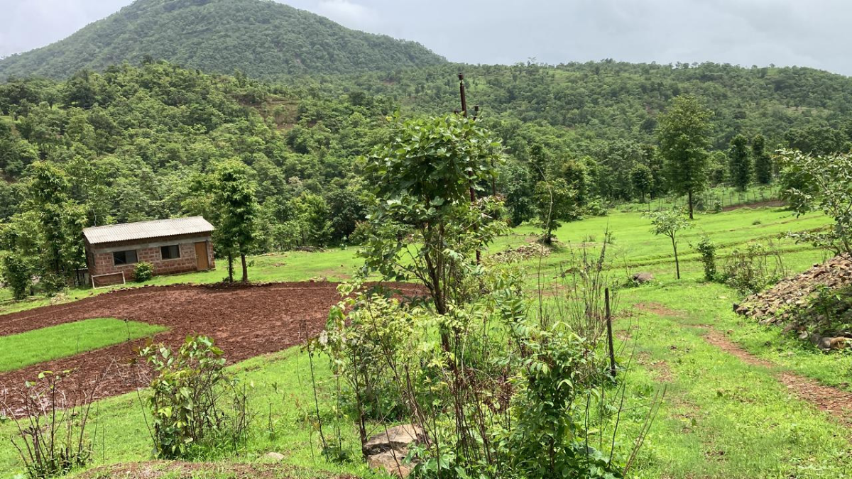 New Chandigarh Land Survey Puts 16 Villages Under High Court Watch