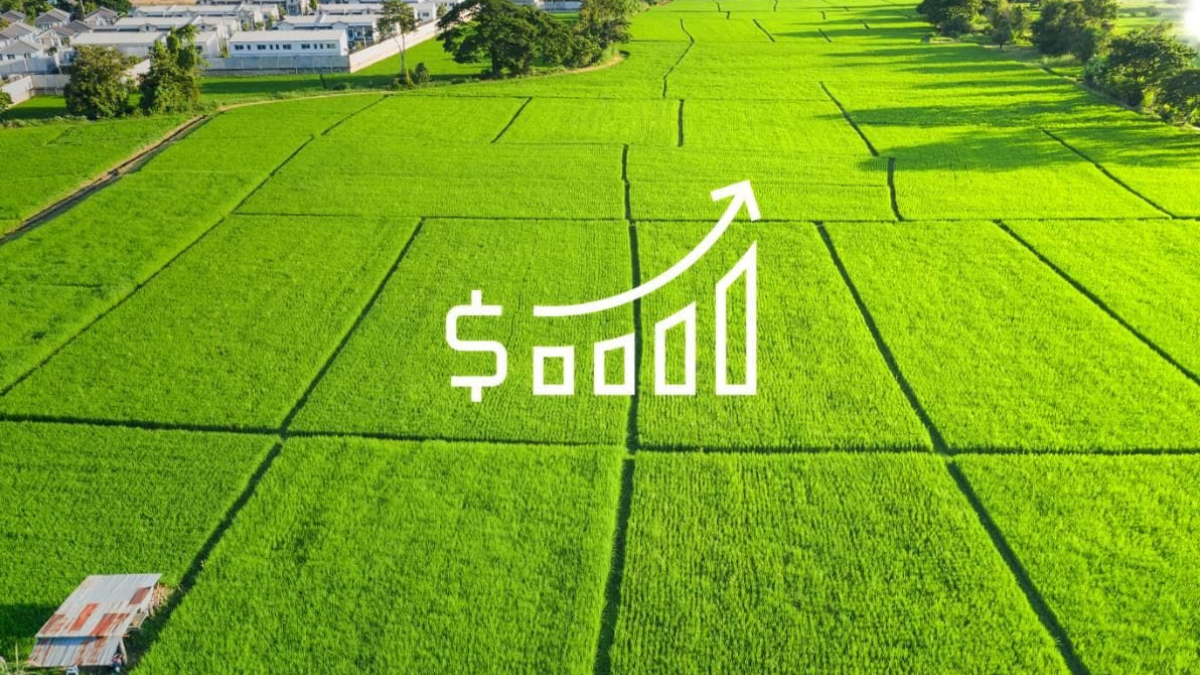 Noida IT Land Gets Costlier as Authority Sets Uniform ₹86,000 Rate for New Allotments