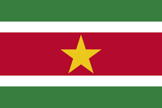 Suriname flag