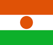 Niger flag