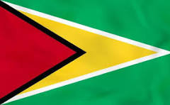 Guyana flag