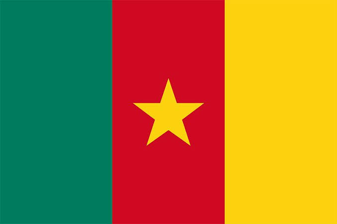 Cameroon flag